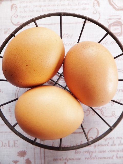 卵は１日１個までしか食べちゃダメ？<br/>〜生活習慣病の予防と改善 ③〜