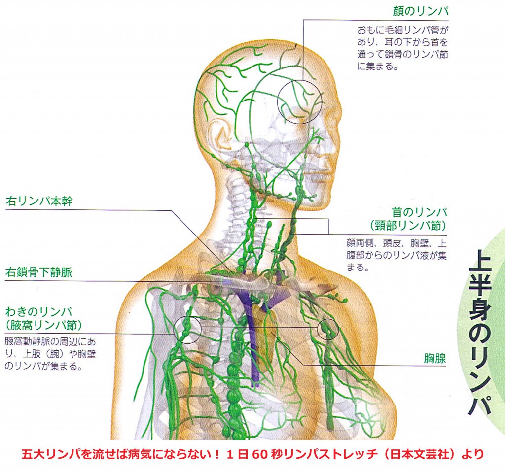 間違いだらけのリンパマッサージ Jhtルートメンテ